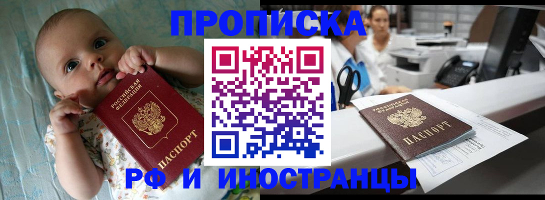 прописка поиск в Барыше